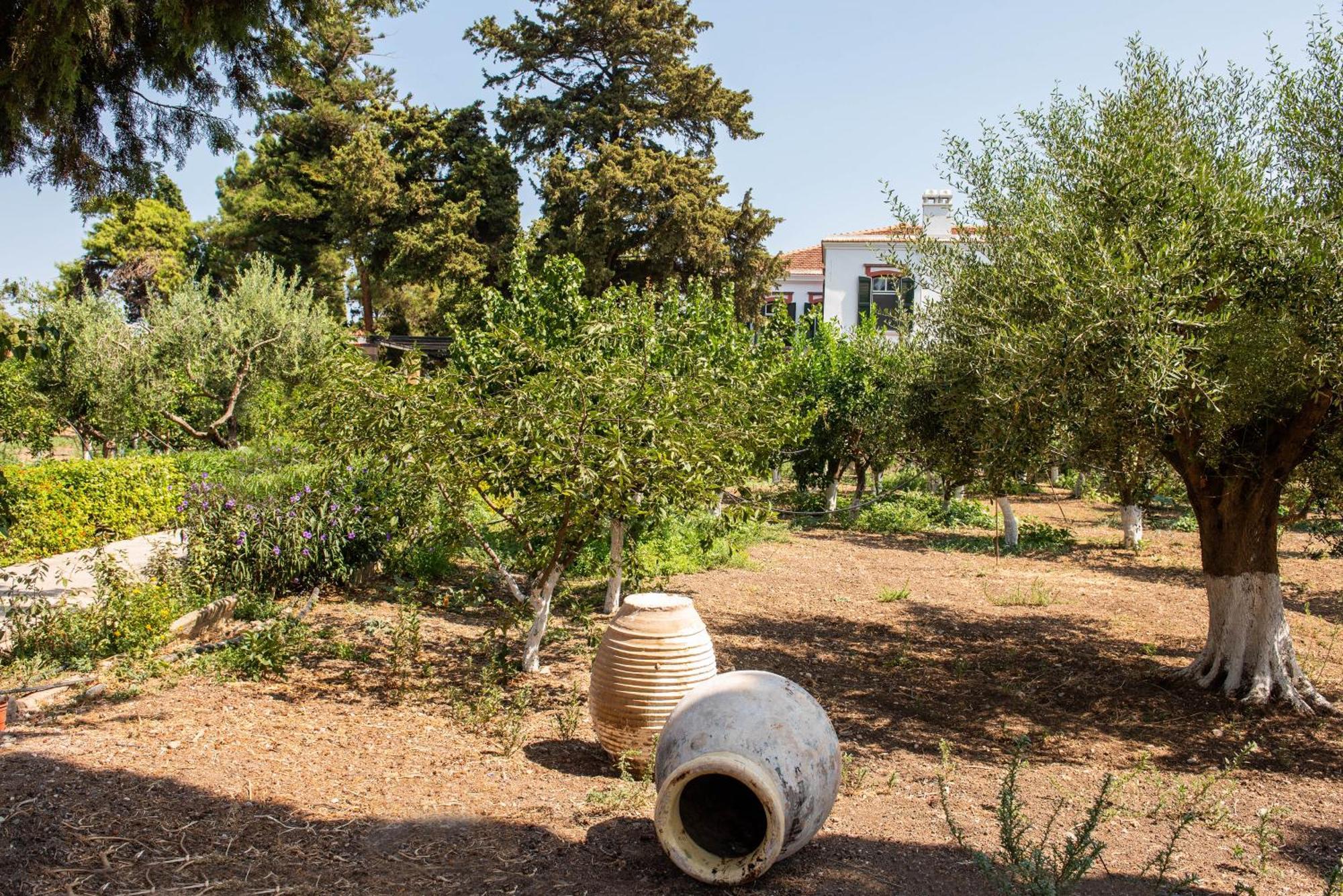 Calvocoressi Estate Chios Town Exterior photo