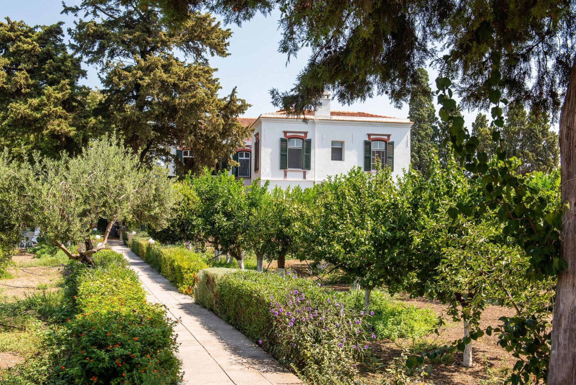 Calvocoressi Estate Chios Town Exterior photo