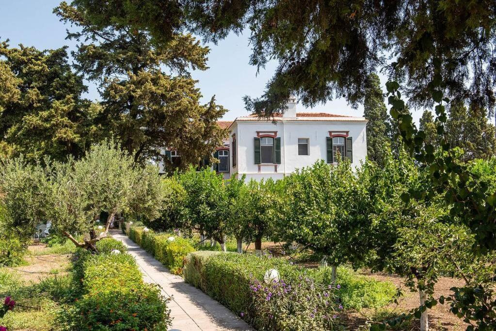 Calvocoressi Estate Chios Town Exterior photo